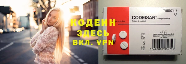 индика Баксан