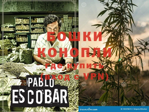 индика Баксан