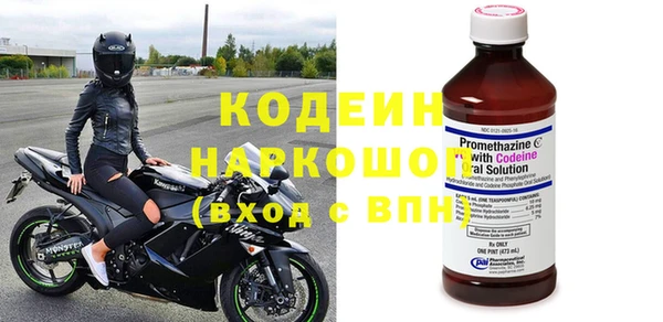 гидра Белокуриха