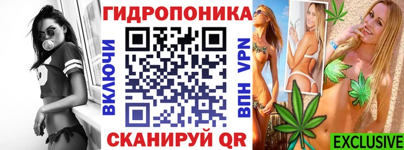 Канабис индика  Дигора 